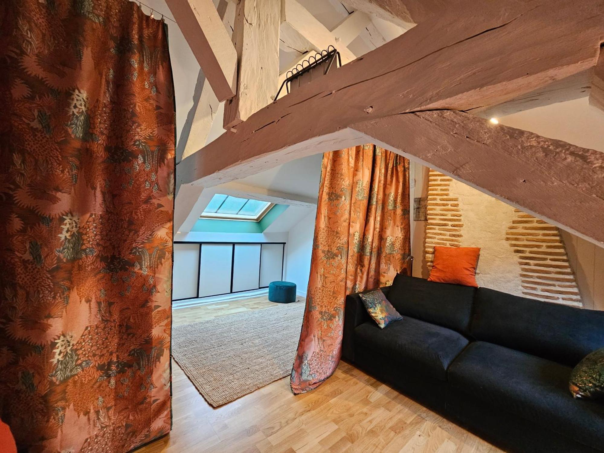 Gîte Le Sully, maison solognote, grand jardin clôturé La Ferté-Saint-Aubin Extérieur photo