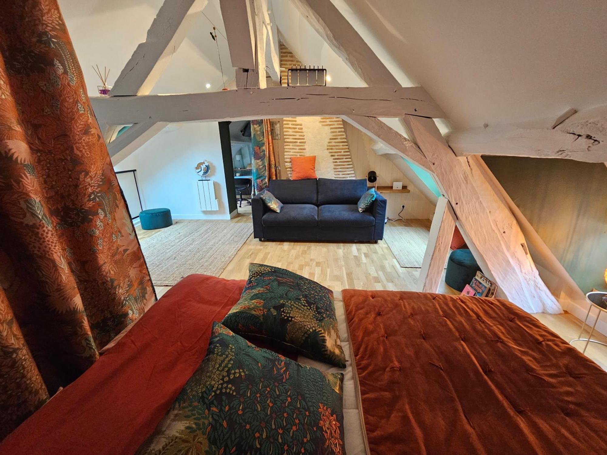 Gîte Le Sully, maison solognote, grand jardin clôturé La Ferté-Saint-Aubin Extérieur photo